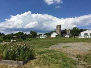 File Aug 01, 6 09 41 PM