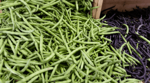 Screen Shot 2015-08-01 at 5.10.00 PM