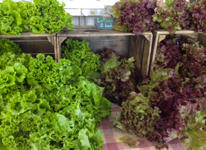 Screen Shot 2015-08-01 at 5.10.38 PM