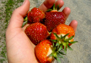 Screen Shot 2015-08-01 at 5.12.10 PM