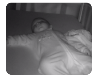 Screen Shot 2016-01-24 at 8.11.10 PM