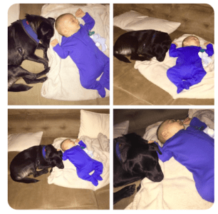 Screen Shot 2016-02-27 at 3.47.25 PM.png