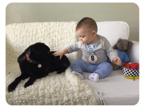 Screen Shot 2016-02-27 at 3.49.22 PM