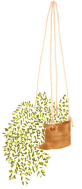 Screen Shot 2016-03-03 at 8.54.01 PM