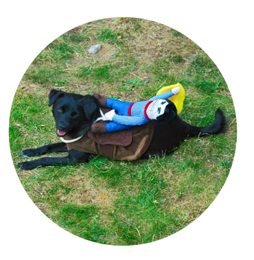 Screen Shot 2016-06-28 at 10.30.06 AM