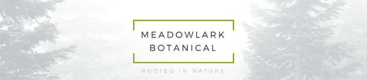 Screen Shot 2017-03-21 at 2.47.37 PM.png