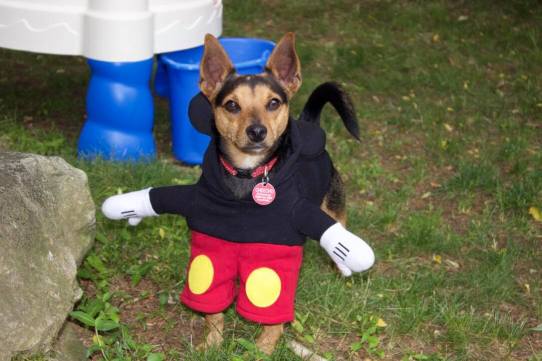 19074570_10154784802135950_1704133791_o