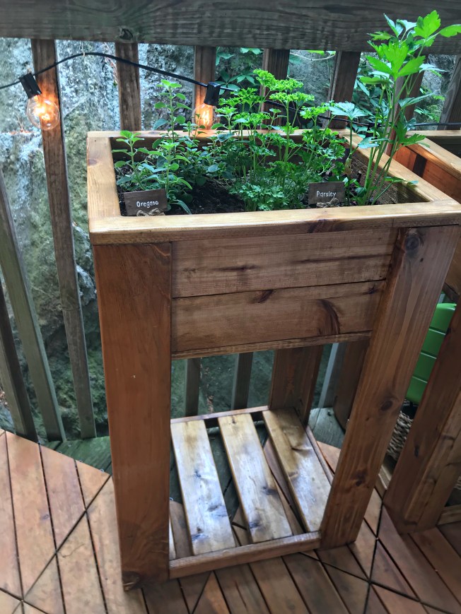 Facetune_10-06-2018-18-51-47