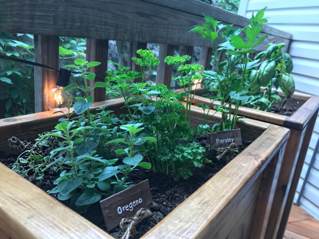 Facetune_10-06-2018-18-52-05