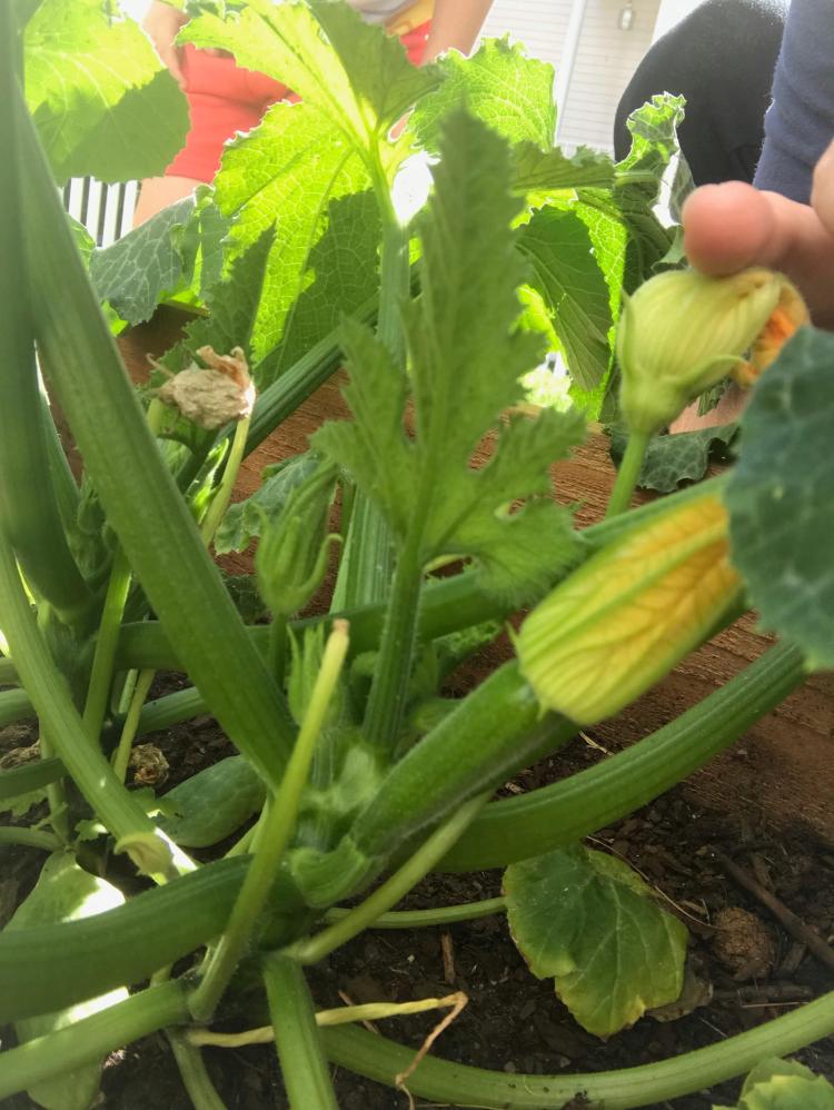 37942439_10156013102835950_290511261483925504_n