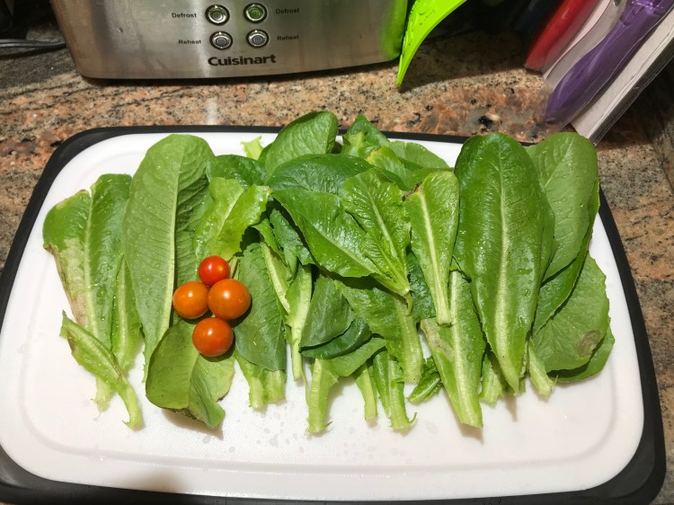 37944274_10156013102540950_6614083124252901376_n