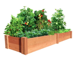 Screen Shot 2018-07-29 at 2.22.36 PM.png