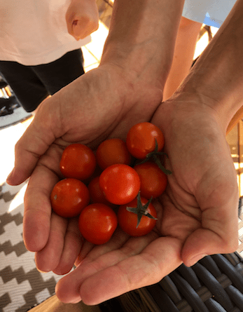 Screen Shot 2018-07-29 at 3.02.28 PM.png