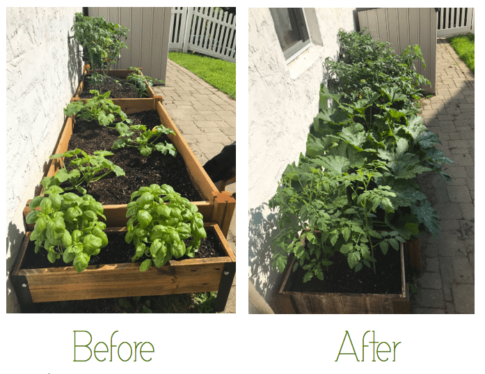 Screen Shot 2018-07-29 at 3.04.22 PM.png