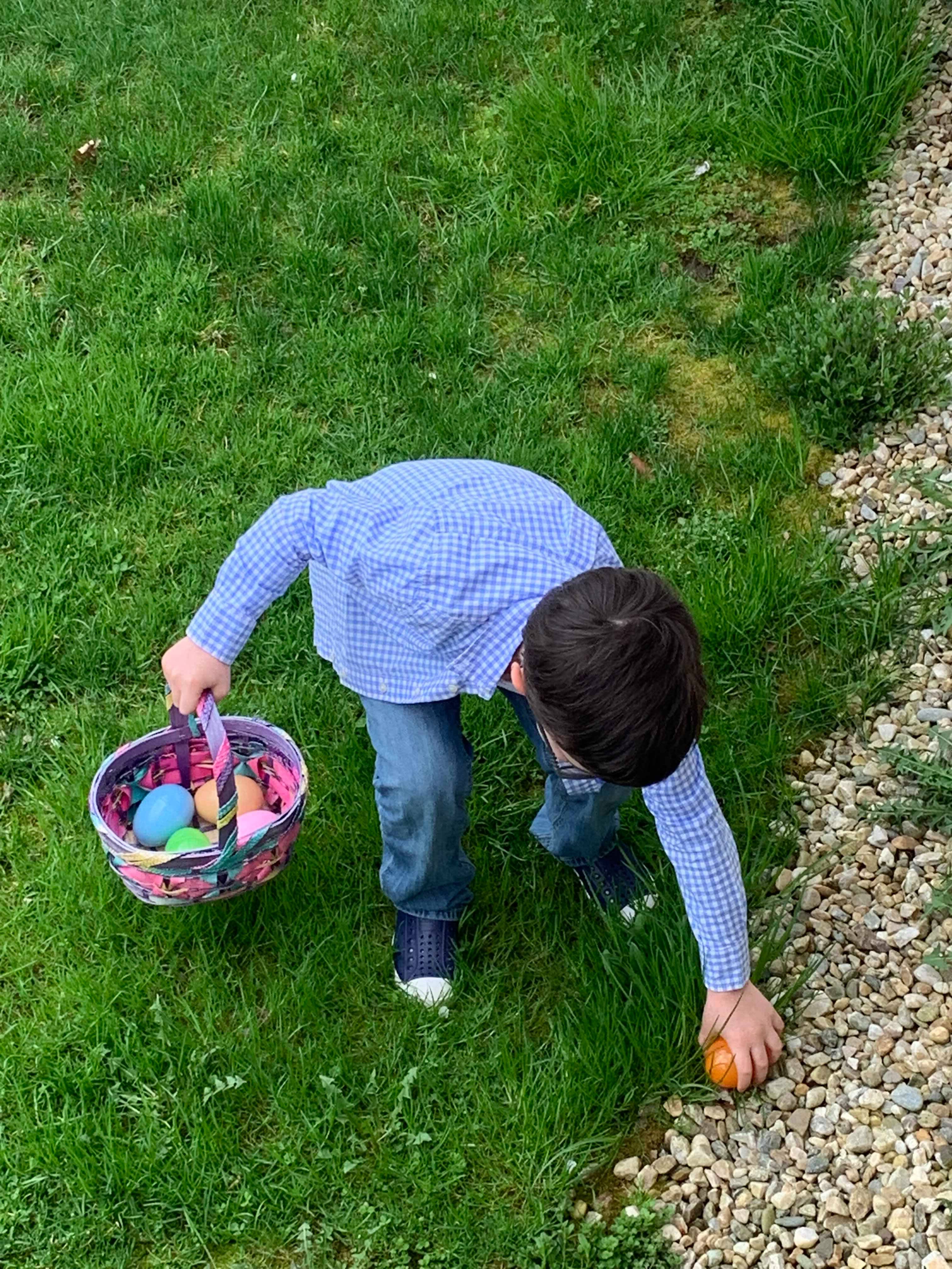 Egg Hunt Fun